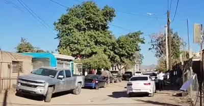 Muere anciano al caer de un �rbol