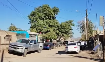 Muere anciano al caer de un �rbol