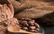 Qu es el cacao y cules son sus beneficios?