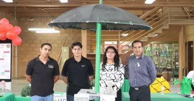 Estudiantes crean palmera solar con material reciclado