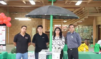 Estudiantes crean palmera solar con material reciclado