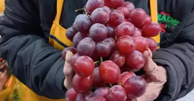 Uvas