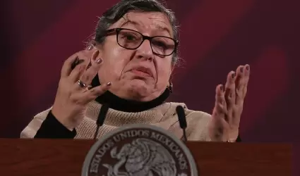 Teresa Guadalupe Reyes, titular de la Comisi�n Nacional de B�squeda.