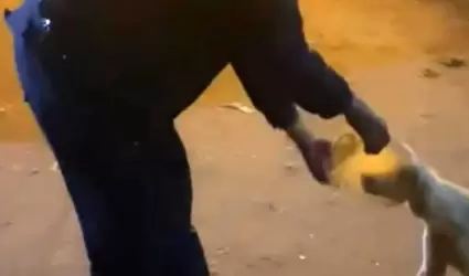 Policas ayudan a perrito con la cabeza atorada en un recipiente de plstico