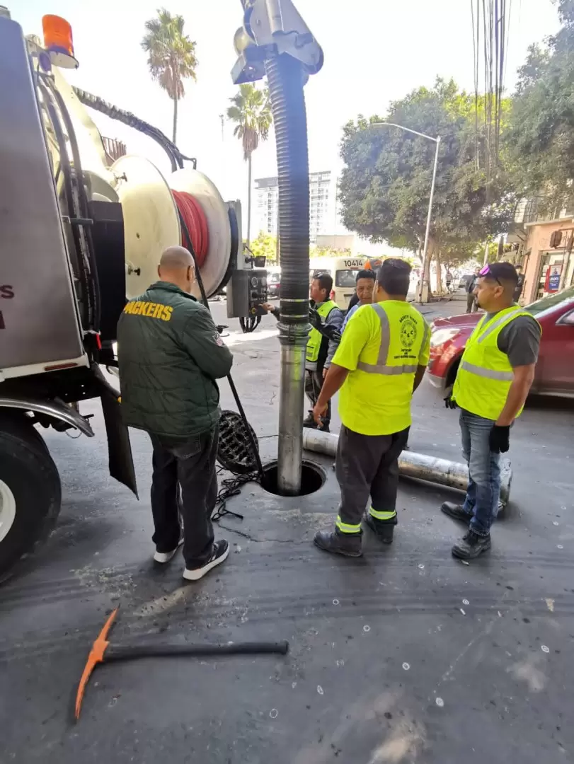 Profesionalizaci�n su personal para mantener eficiencia en el servicio