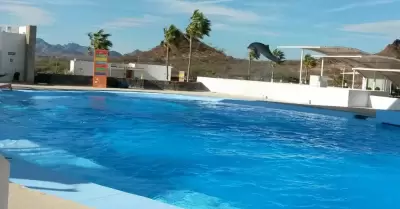 Delfinario Guaymas