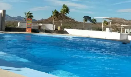 Delfinario Guaymas