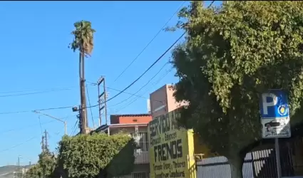 Vientos
