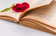 Libros de ficcin literaria recomendados para iniciar el ao leyendo