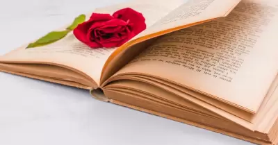 Libro con flor.