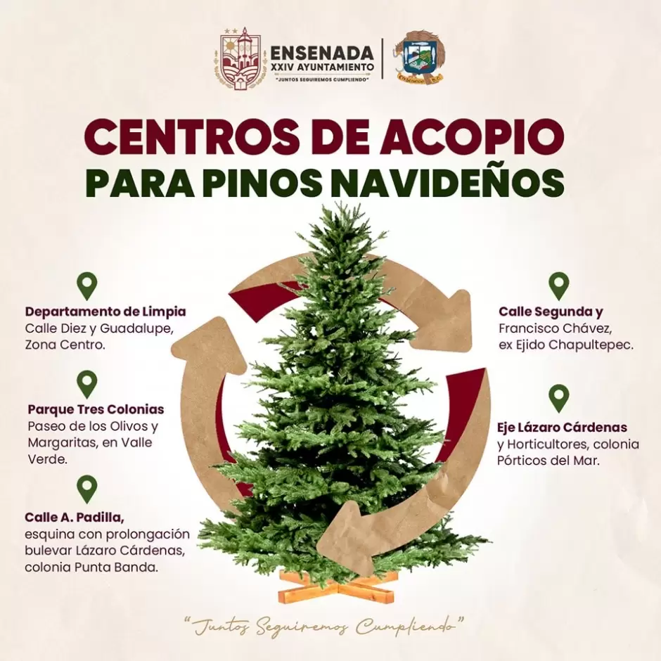 Centros de acopio de �rboles navide�os