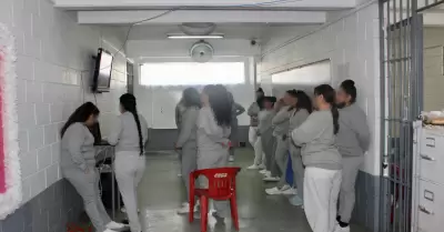 Proyecto "Video Academia Penitenciaria"