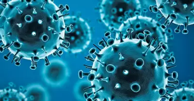 Influenza