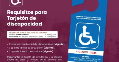 Tarjetones y credenciales discapacidad