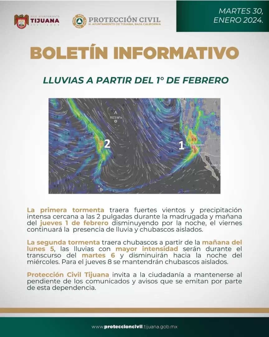 Boletin Informativo
