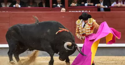 Corridas de Toros