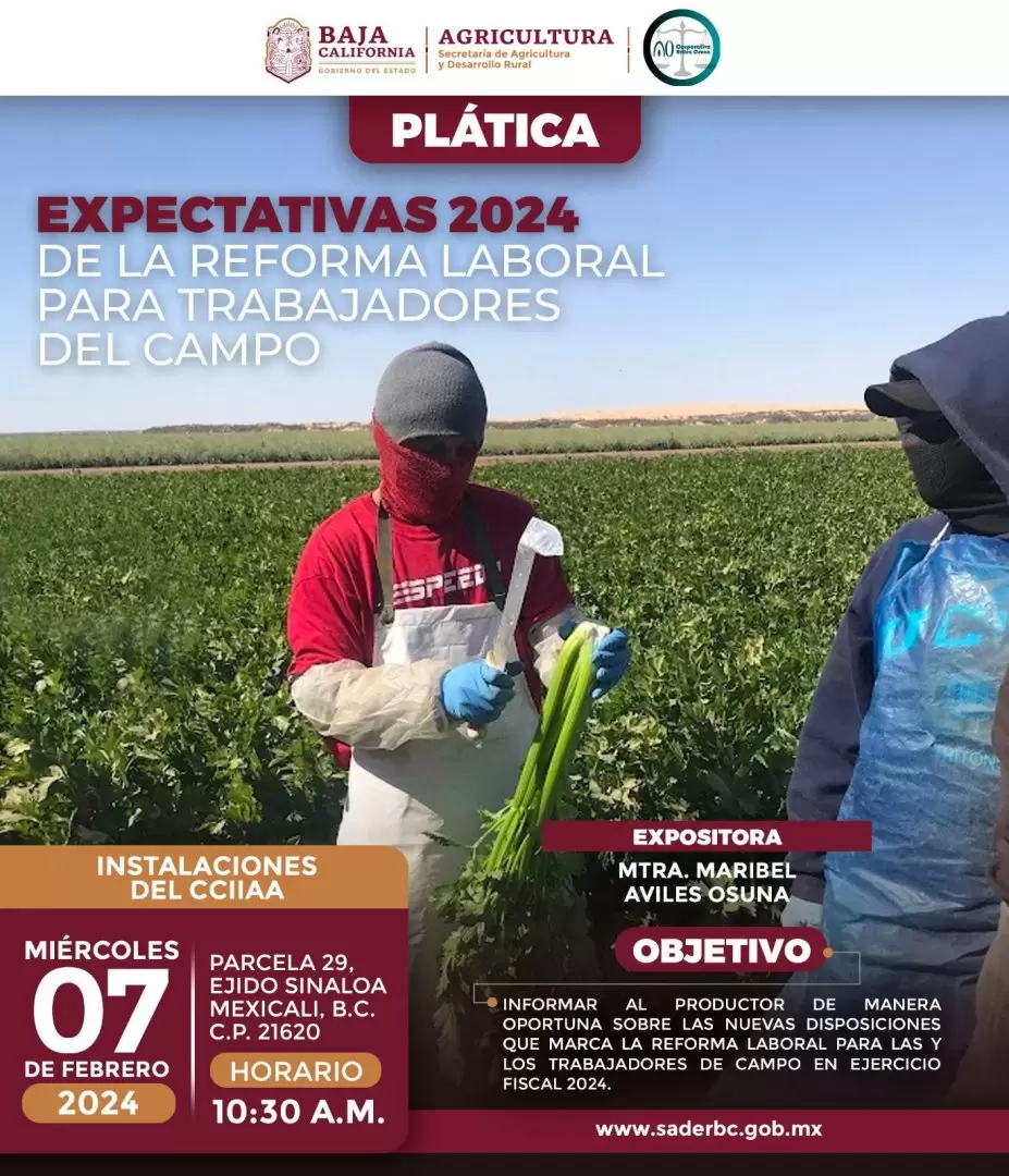 Expectativas 2024 de la reforma laboral para trabajadores del Campo