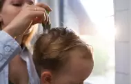 Cepillos y peines para peinar el delicado cabello de tu beb