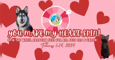 Mascotas llevan el verdadero amor m�s all� del D�a de San Valent�n