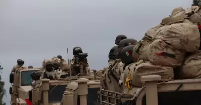fuerzas armadas