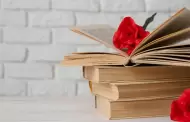Libros romnticos para regalar a tu pareja este San Valentn