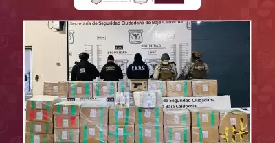 Localizan ms de media tonelada de metanfetamina en Tijuana