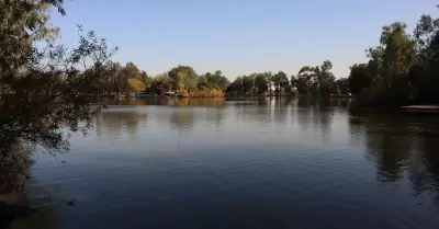 Abrir�n parques
