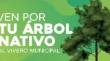 Vivero Municipal donará plantas nativas