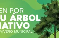 Vivero Municipal regalará plantas nativas este sábado 24 de febrero
