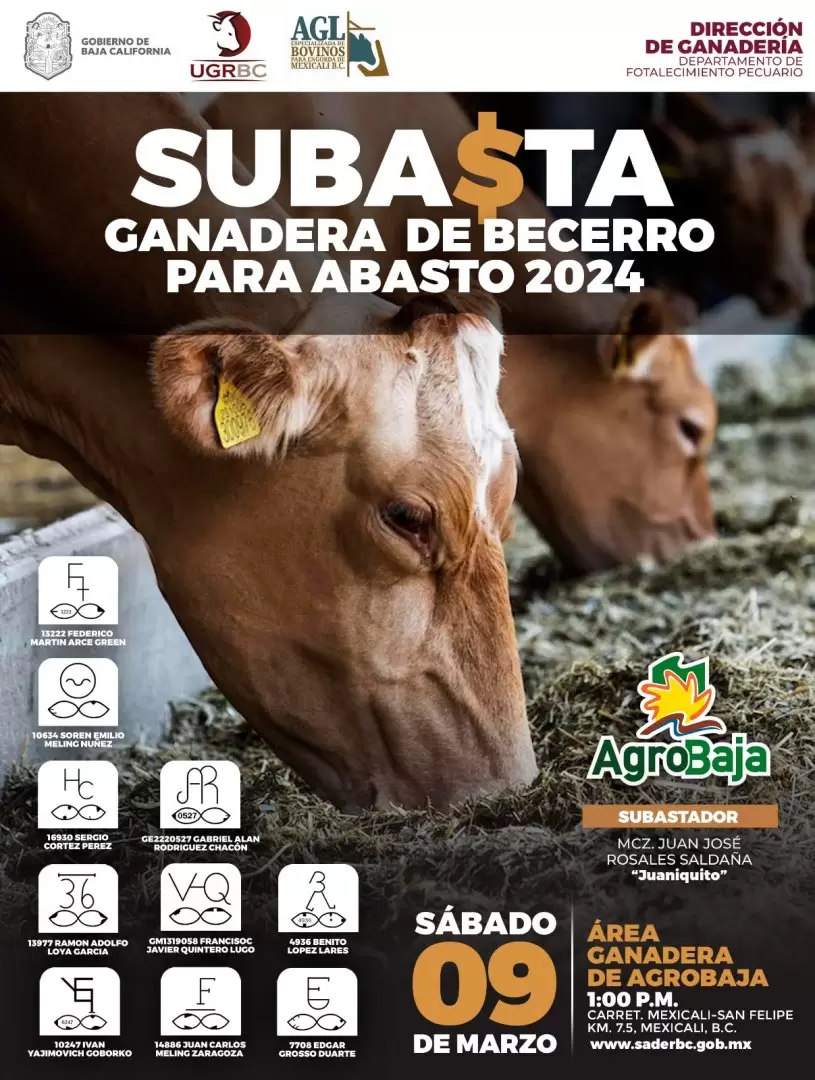 Impulsan subasta ganadera en Agrobaja 2024