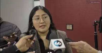 Diputada de Morena, Michel S�nchez Allende