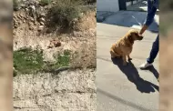 Bomberos de Tijuana rescata a perrito atrapado en una ladera del fraccionamiento Los Álamos