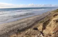 VIDEO: Mar arroja el cuerpo de un hombre, podría ser un migrante