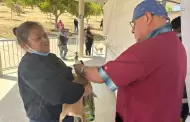 Continúa Jurisdicción de Salud Ensenada esterilización canina y felina gratuita