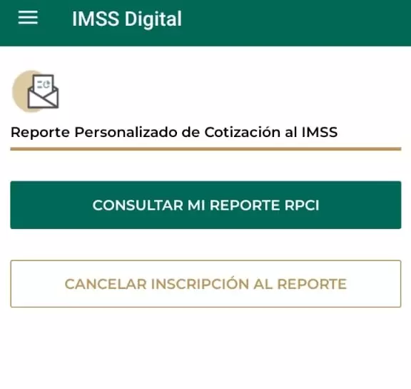 Reporte Personalizdo de Cotizacion al IMSS