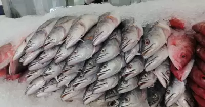 Realizan recomendaciones a pescaderas de San Quintn por cuaresma