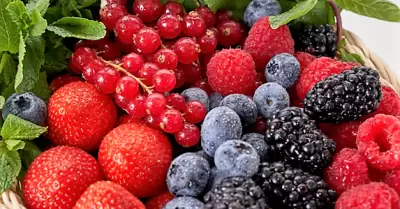 Destacan productores de San Quintn y Ensenada con la siembra de "Berries"