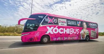 X�chibus