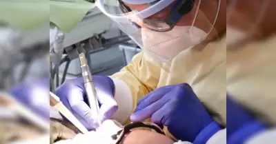 Dentista