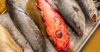 Pescados y mariscos