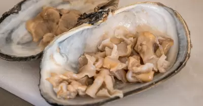Pescados y mariscos