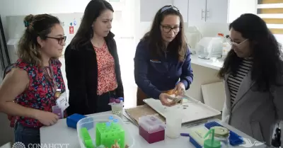 Imparten taller sobre citometra de flujo en el CICESE