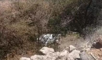 Buscadoras de la Frontera de Nogales hallan 4 cuerpos