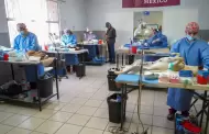 Mantiene Secretara de Salud acciones de esterilizacin y prevencin de enfermedades de mascotas en San Felipe