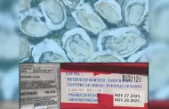 Reportan brotes de norovirus relacionados con ostras coreanas congeladas
