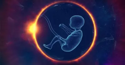 La salud reproductiva comprende diversos aspectos que afectan el bienestar f�sic