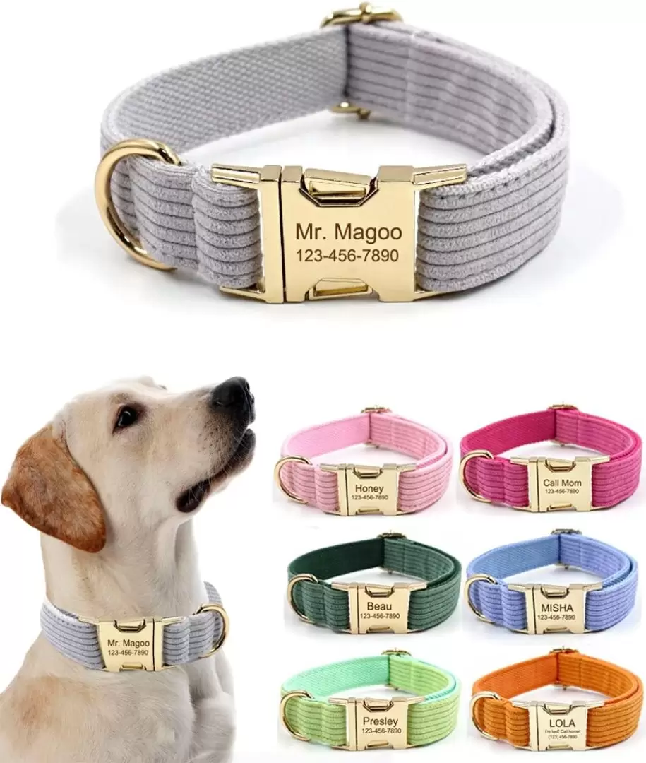 accesorios para mascotas