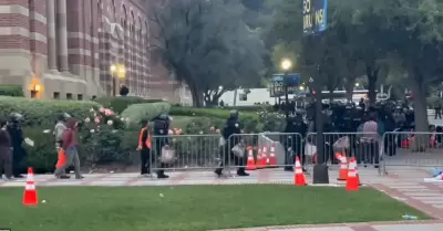 Manifestantes detenidos en la Universidad de California en Los Angeles