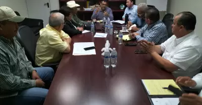 Contin�an trabajando en la estabilidad de la cosecha del trigo