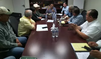 Contin�an trabajando en la estabilidad de la cosecha del trigo
